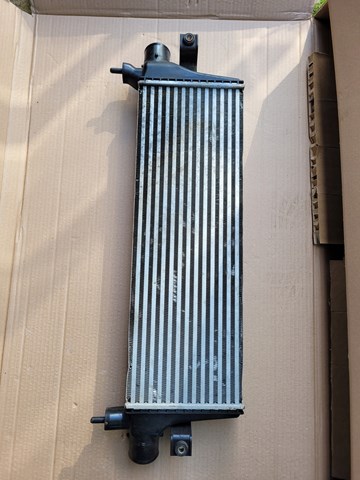 Купить 81P3J81 Polcar Интеркулер