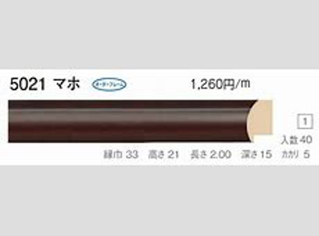 FP5021M15 FPS 