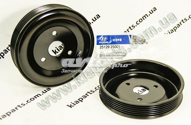 Polia da bomba de água KIA Magentis II GE