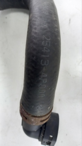  254134P000 Hyundai/Kia