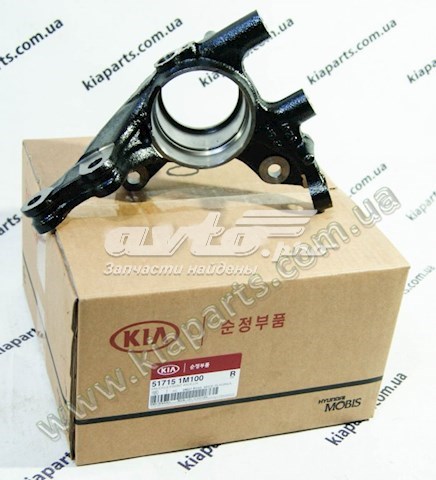 Купить 517151M100 Hyundai/Kia Цапфа поворотная левая