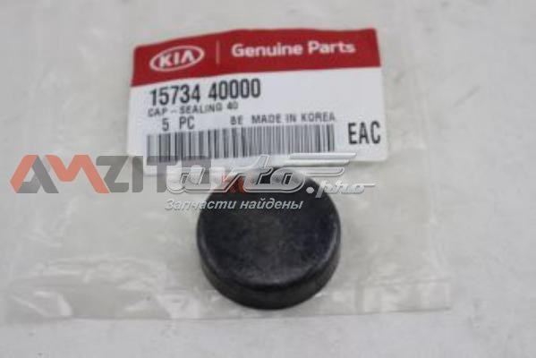 Крышка ГБЦ Hyundai/Kia 1573440000 цена, от 2.65 USD