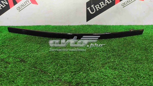  Jaguar T4K5813 цена, от 83.47 USD