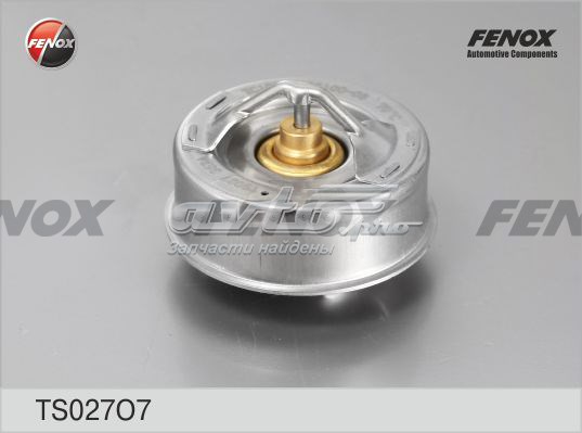 Термостат Fenox TS027O7