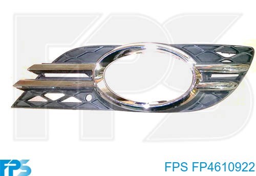 Молдинг бампера переднего правый FPS FP4610922 цена, от 23.75 USD