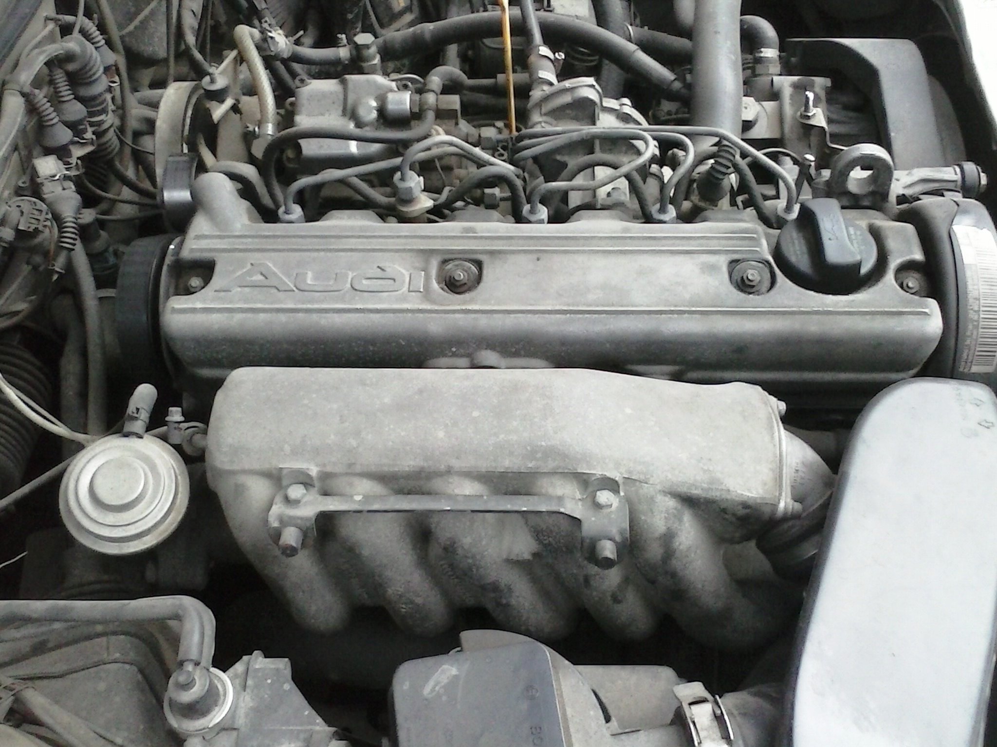 Авторазборка AUDI A6 C4 универсал (4A5) (1994 - 1998)