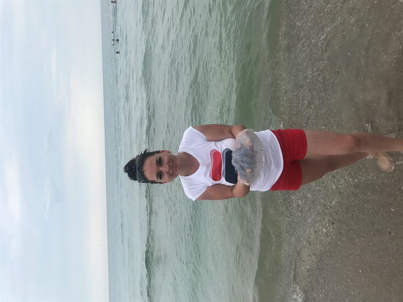 Разборка AUDI A6 C5 седан (4B2, 4B4) (1997 - 2005)