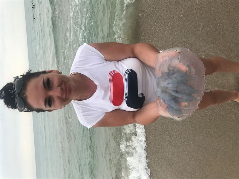 Разборка AUDI A6 C5 седан (4B2, 4B4) (1997 - 2005)