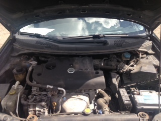 Разборка NISSAN PRIMERA седан (P12) (02 - 08) (2002 - 2008)